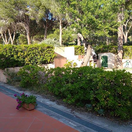 La Casa Dei Nonni - Services Included - Servizi Inclusi Каполивери Екстериор снимка